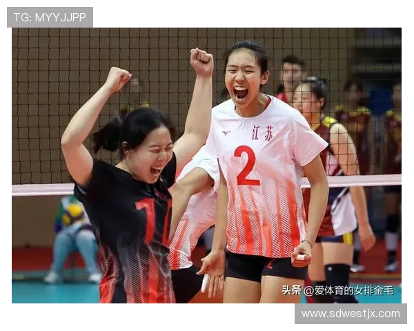 武汉排球队的节奏与魅力探秘：排球运动的热情与团结精神