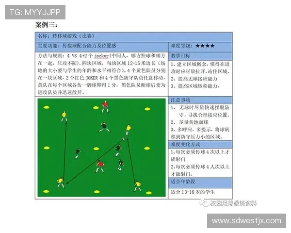 深圳足球队的战术节奏分析与未来发展展望 深圳足球队的战术节奏分析与未来发展展望