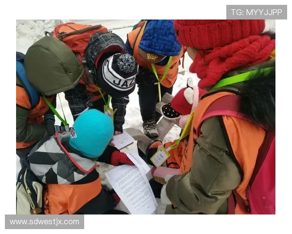 杭州排球队勇攀高峰洲际杯征程中的辉煌与挑战 杭州排球队勇攀高峰洲际杯征程中的辉煌与挑战