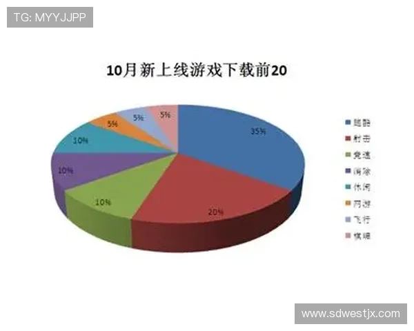 独家分析:深圳排球队的耐力对比 独家分析:深圳排球队的耐力对比