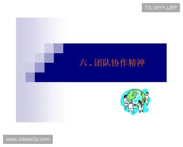 团结一心共筑梦想杭州排球队的协作精神与团队力量探讨