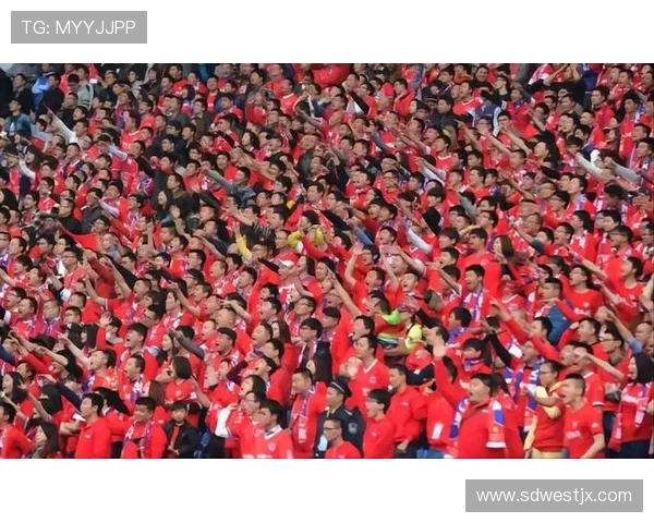 重庆乒乓球队如何通过节奏革新提升竞技水平与团队协作能力 重庆乒乓球队如何通过节奏革新提升竞技水平与团队协作能力